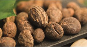 Sustainable Shea Textures as Natural Alternatives